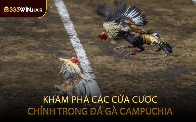 Khám Phá Các Cửa Cược Chính Trong Đá Gà Campuchia